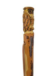 Owl carving on walking stick 