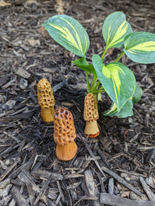 wooden morels decorating the mulch by a plant