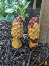 Chainsaw Carving of Morel Mushroom, Cedar Log Morel Mushroom carving, Made in USA Creation Carvings