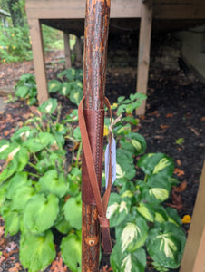 Wooden walking stick with a brown leather strap against a green leafy background