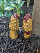 Chainsaw Carving of Morel Mushroom, Cedar Log Morel Mushroom carving, Made in USA