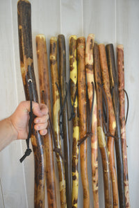 Hardwood walking sticks 
