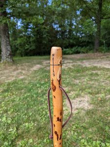 Compass carved on walking stick