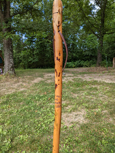 Outdoor picture of hiking stick with a compass and the quote, "Not all who wader are lost."