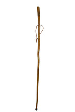 Evergreen Tree carving on walking stick 