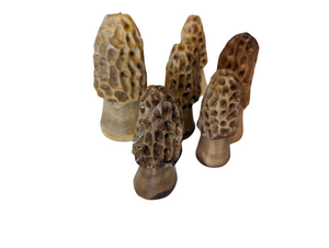 Decorative wooden morel mushrooms