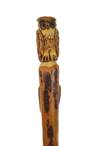 Hardwood Owl carving on walking stick 