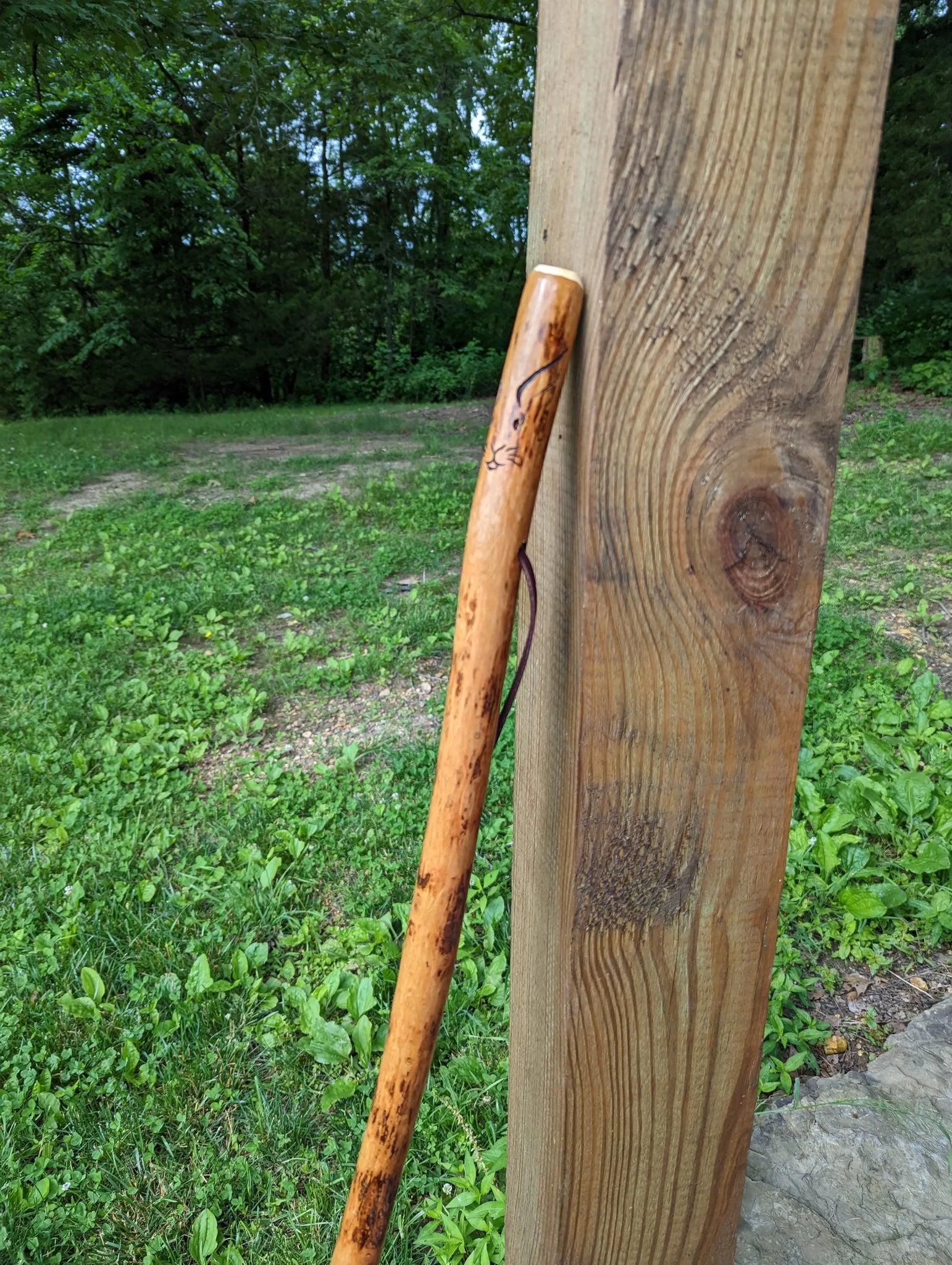 Carving of Rabbit on Walking Stick, 2D Rabbit walking stick carving on ...
