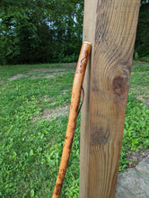 Hand-carved Rabbit on walking stick 