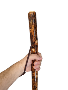 A hand holding a walking stick with "USA" carved at the top of the stick. 