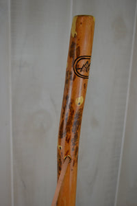 Mountain scene carved on walking stick 