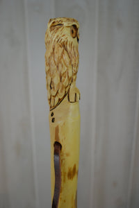 Walking Stick with Owl Carving