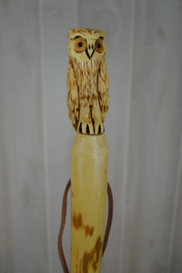 Hiking Stick with owl carving